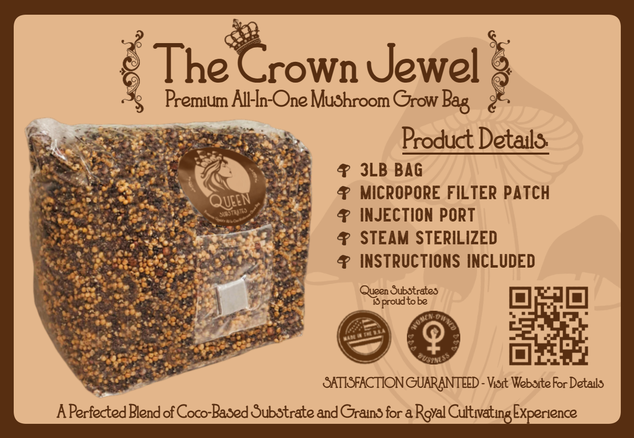 King Oyster | 3LB | All-In-One Mushroom Grow Kit