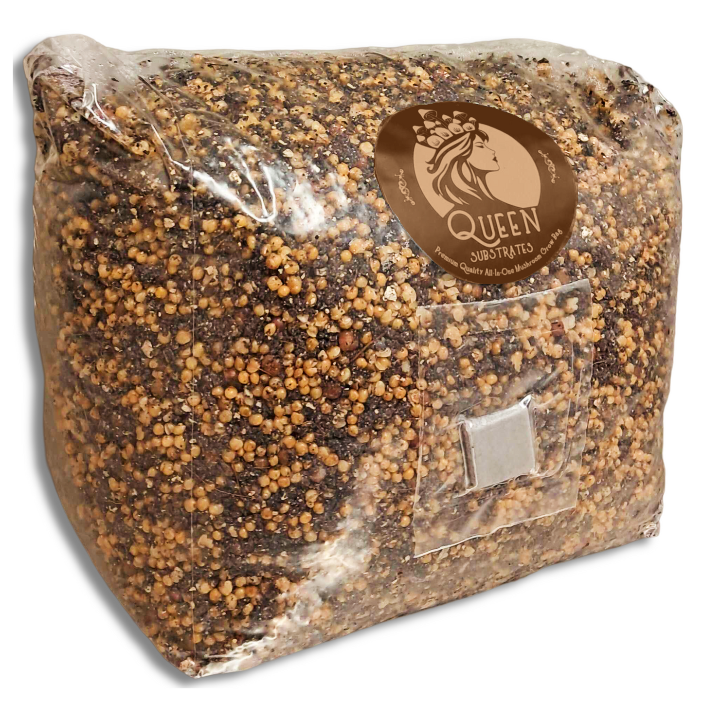 King Oyster | 3LB | All-In-One Mushroom Grow Kit