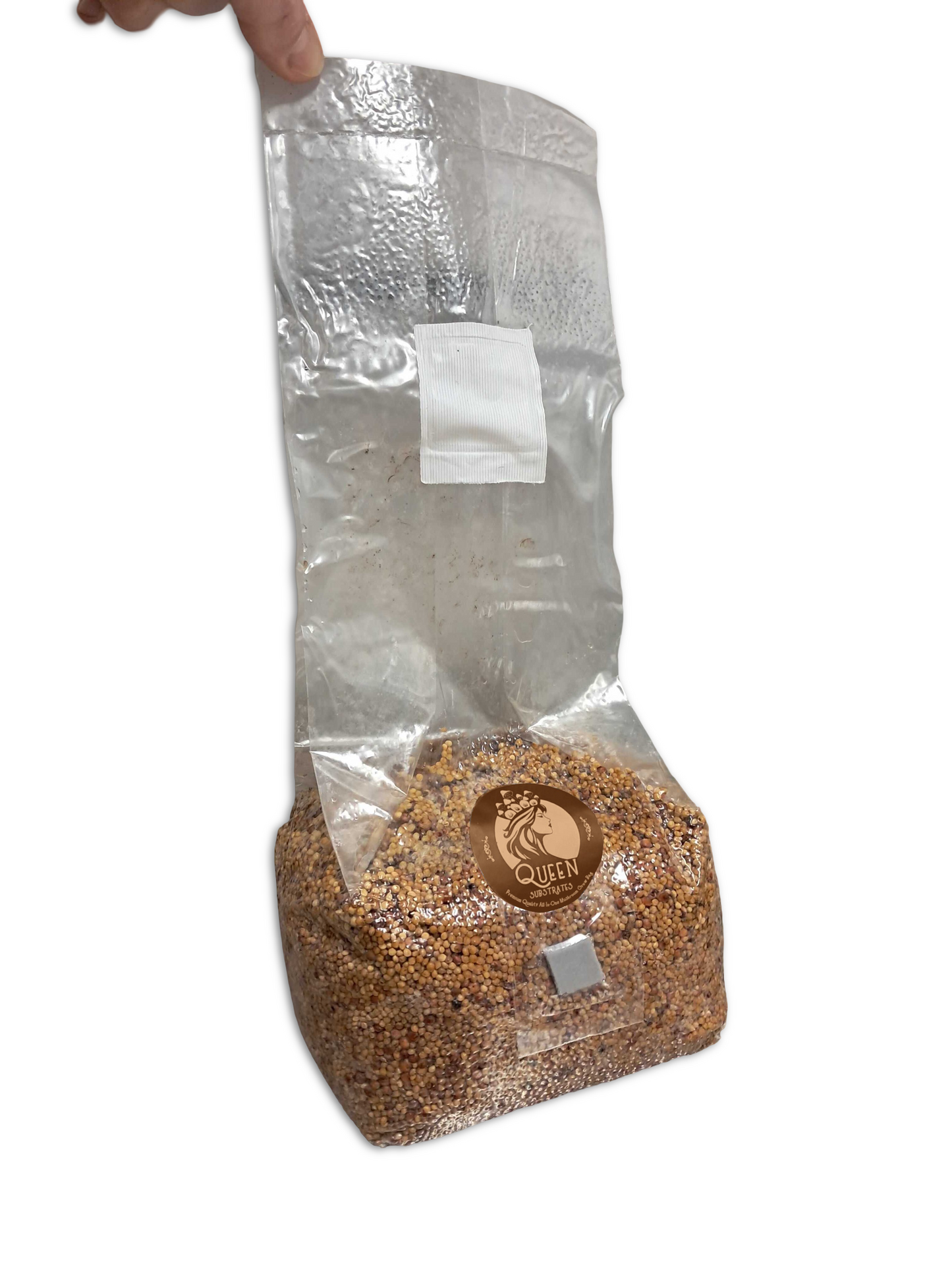Golden Harvest | Jester | 3LB