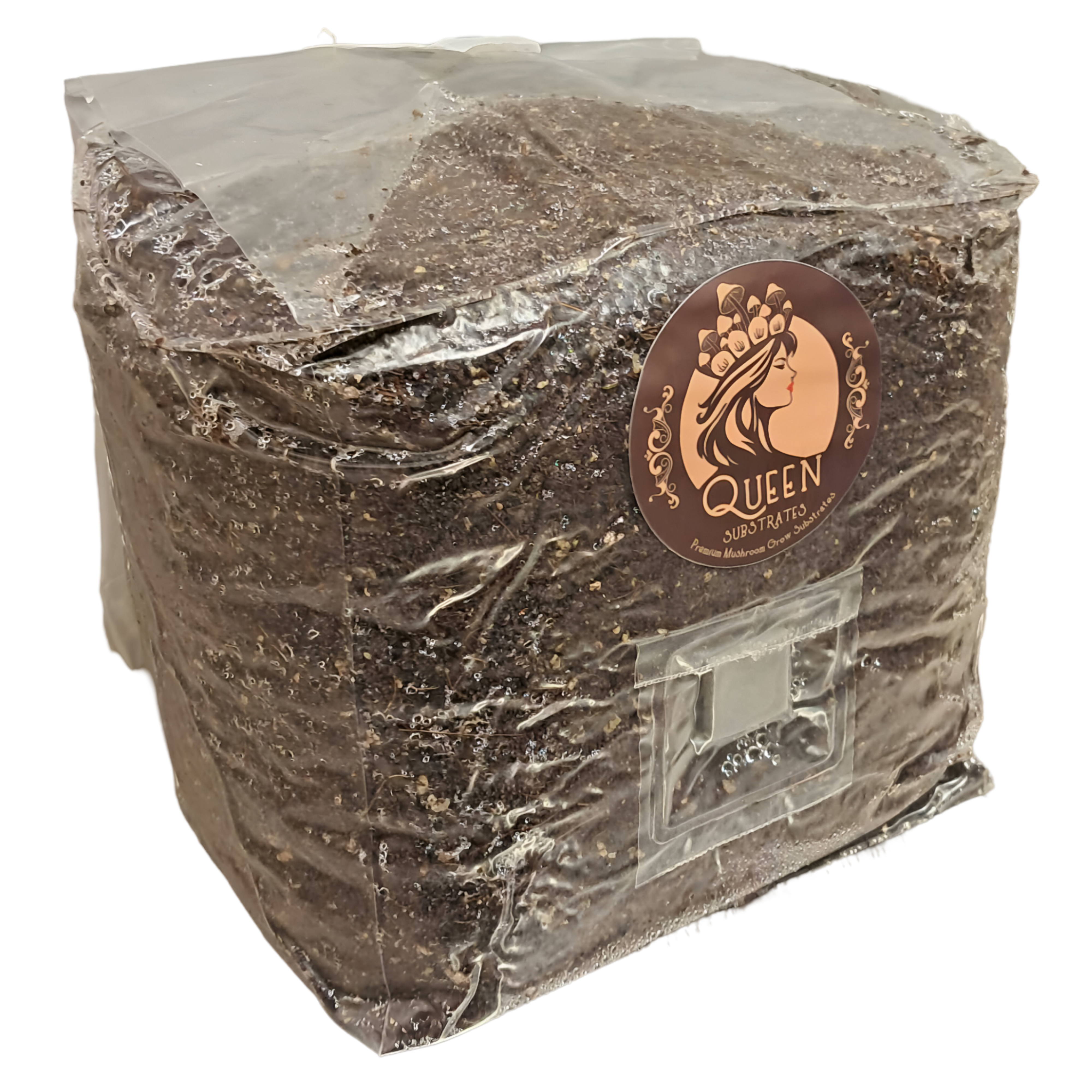 Pink Oyster | 6LB | Bulk Mushroom Grow Kit