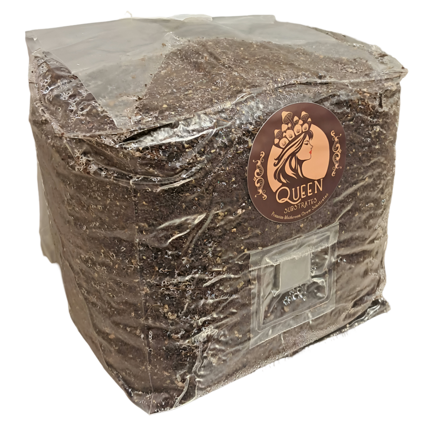 Golden Oyster | 6LB | Bulk Mushroom Grow Kit