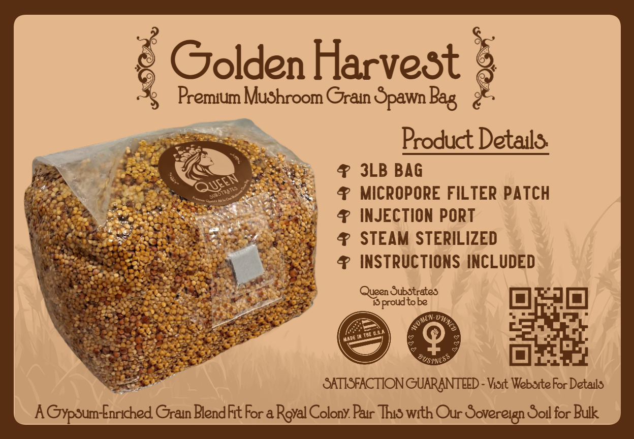 King Oyster | 6LB | Bulk Mushroom Grow Kit