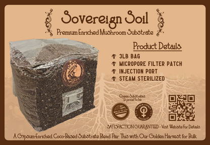 King Oyster | 6LB | Bulk Mushroom Grow Kit