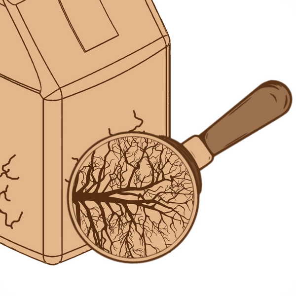 Hover image 2