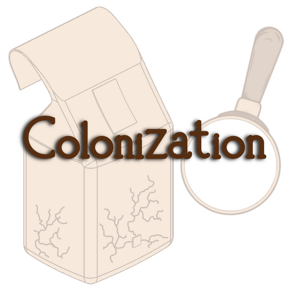 Image button 2