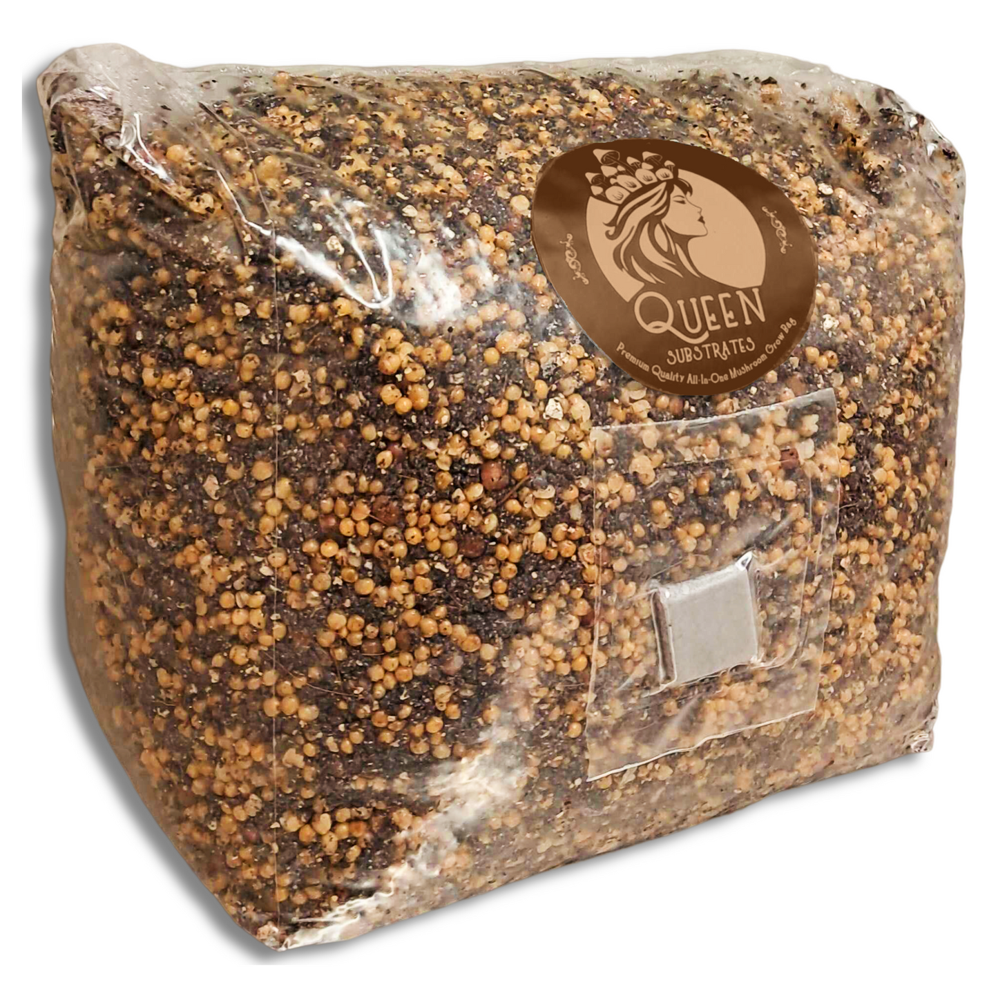 Lion's Mane | 3LB | Pre-Inoculated Bag