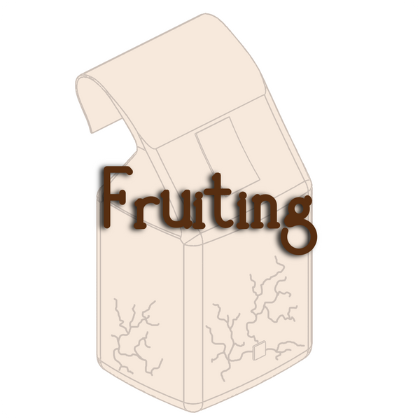 Image button 3