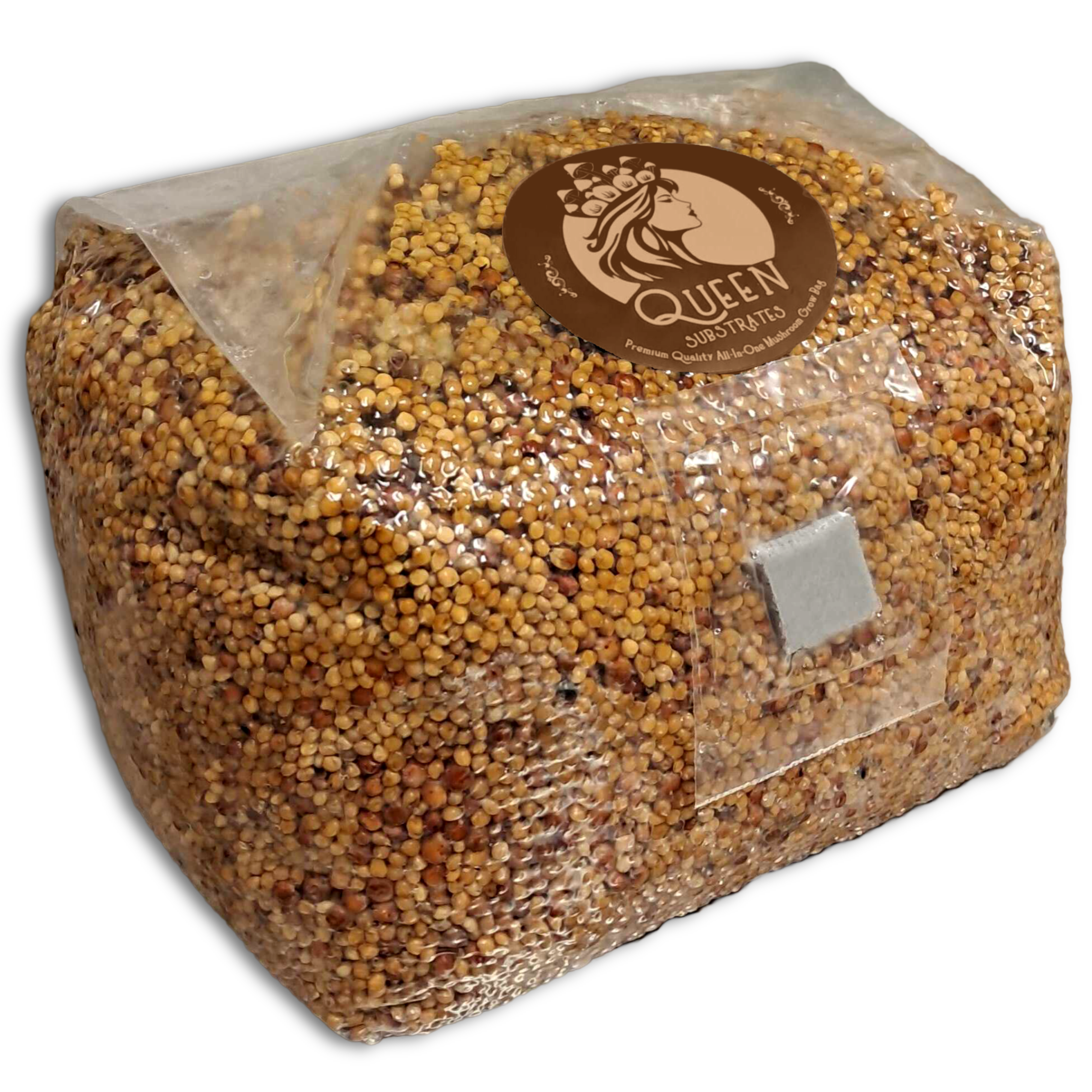 Pink Oyster | 6LB | Bulk Mushroom Grow Kit