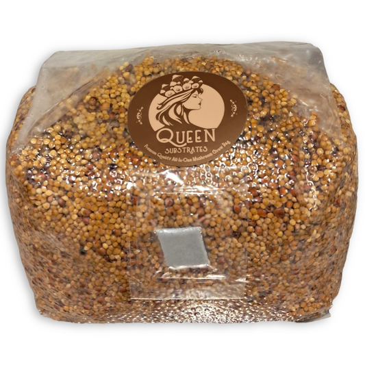 Golden Harvest | 3LB | Grain Bag