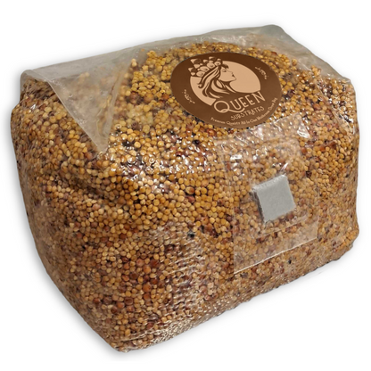 Golden Harvest | Jester | 3LB