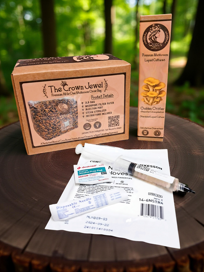 Golden Oyster | 3LB | All-In-One Mushroom Grow Kit