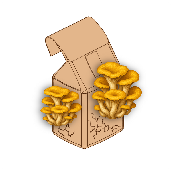 Hover image 1