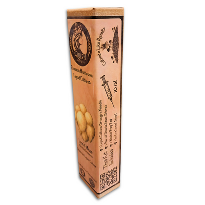 Lion's Mane | 10ML | Gourmet Mushroom Liquid Culture