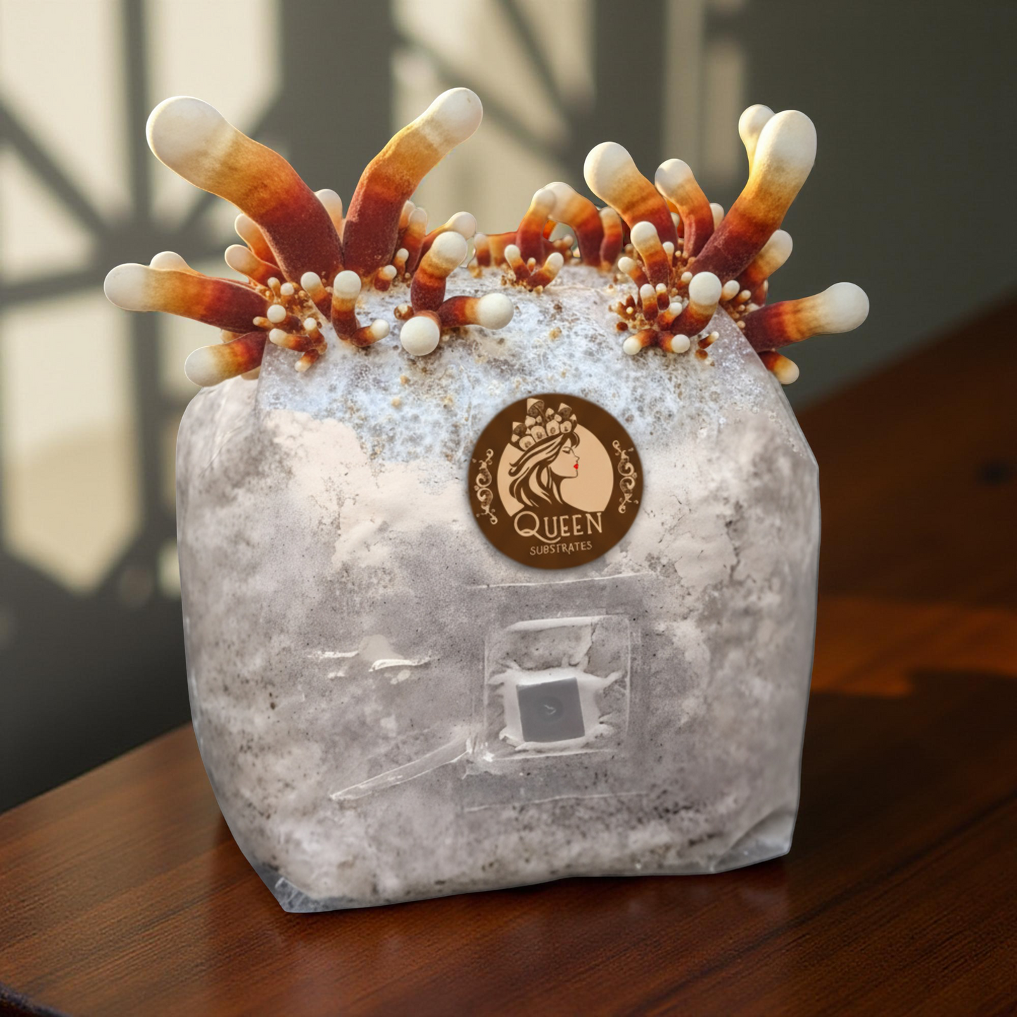 Antler Reishi | 3LB | Pre-Inoculated Bag