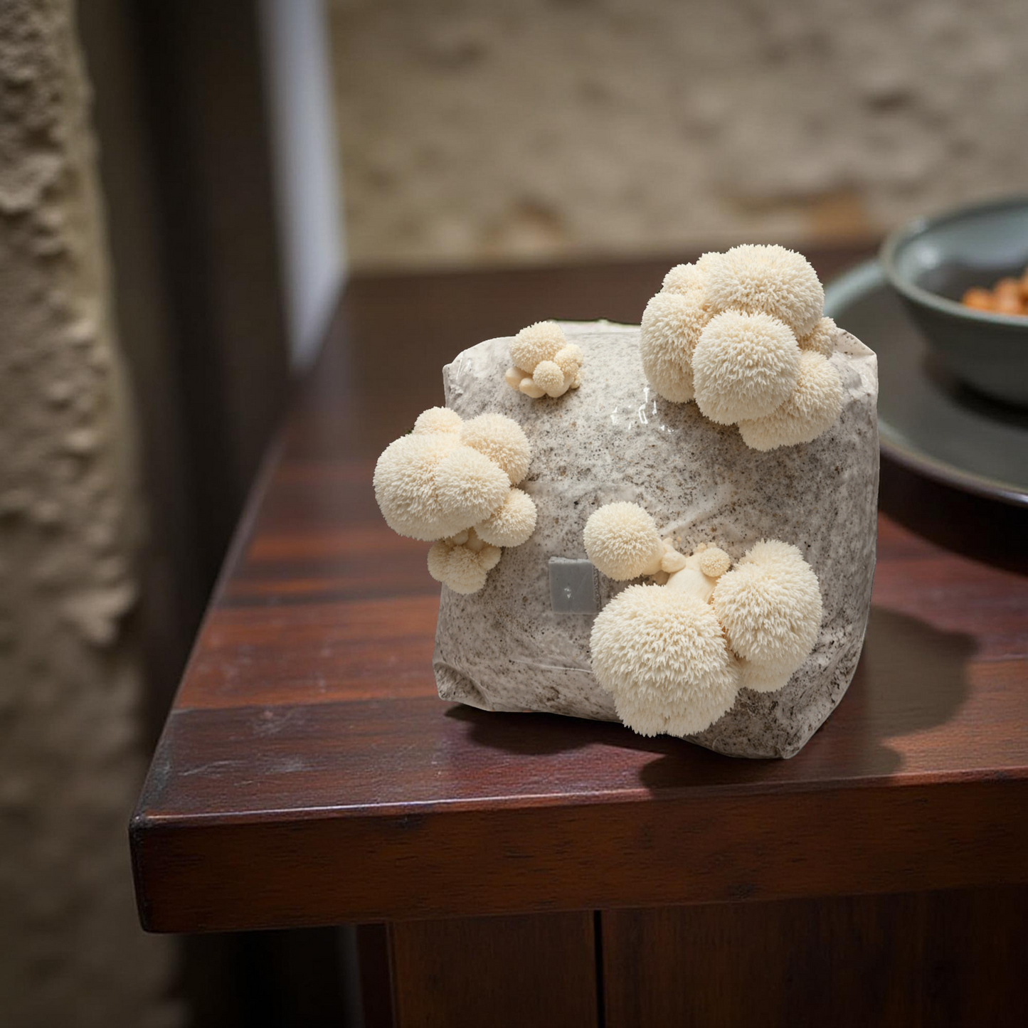 Lion's Mane | 3LB | Pre-Inoculated Bag